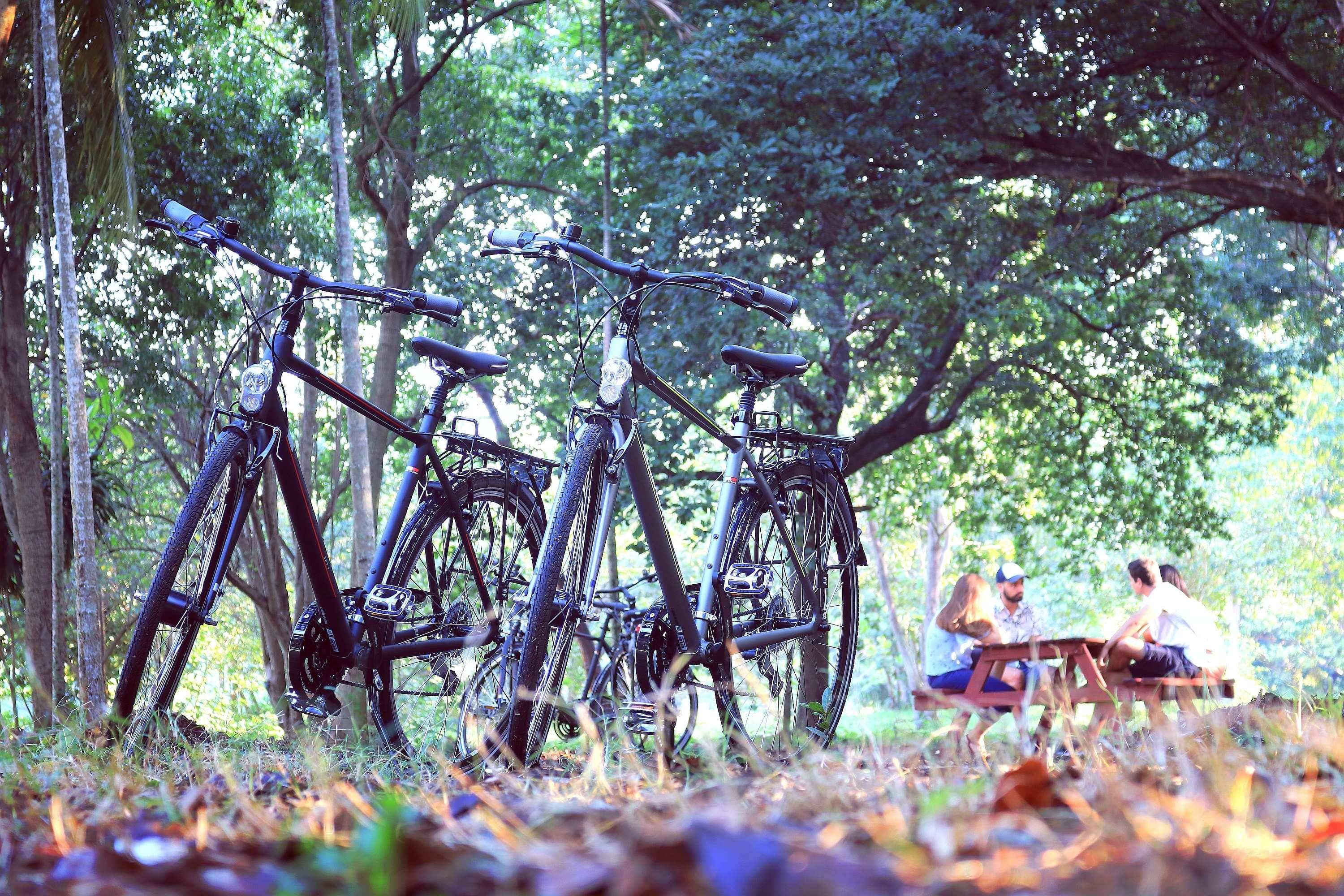 Bicicletas